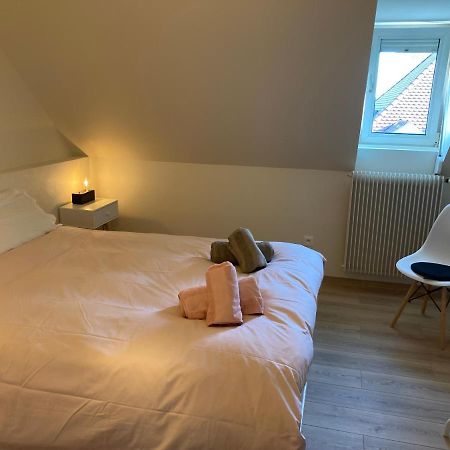 Apartamento LES MOULINS Très agréable et idéalement situé Colmar Exterior foto